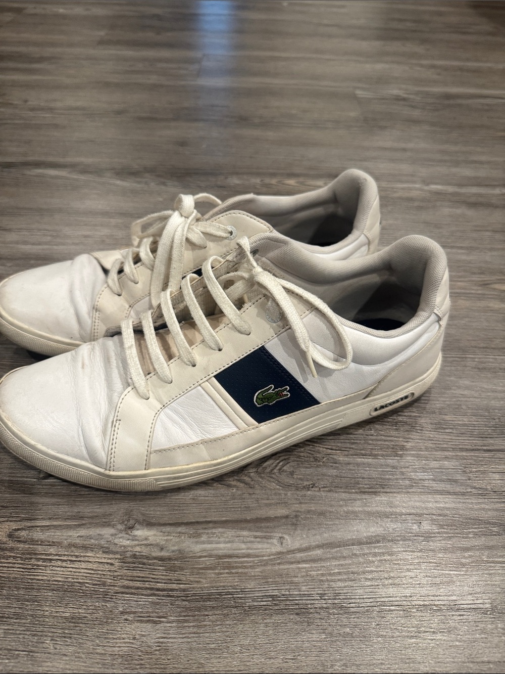Lacoste Men’s White Leather Sneakers with Navy Panel and Green Crocodile